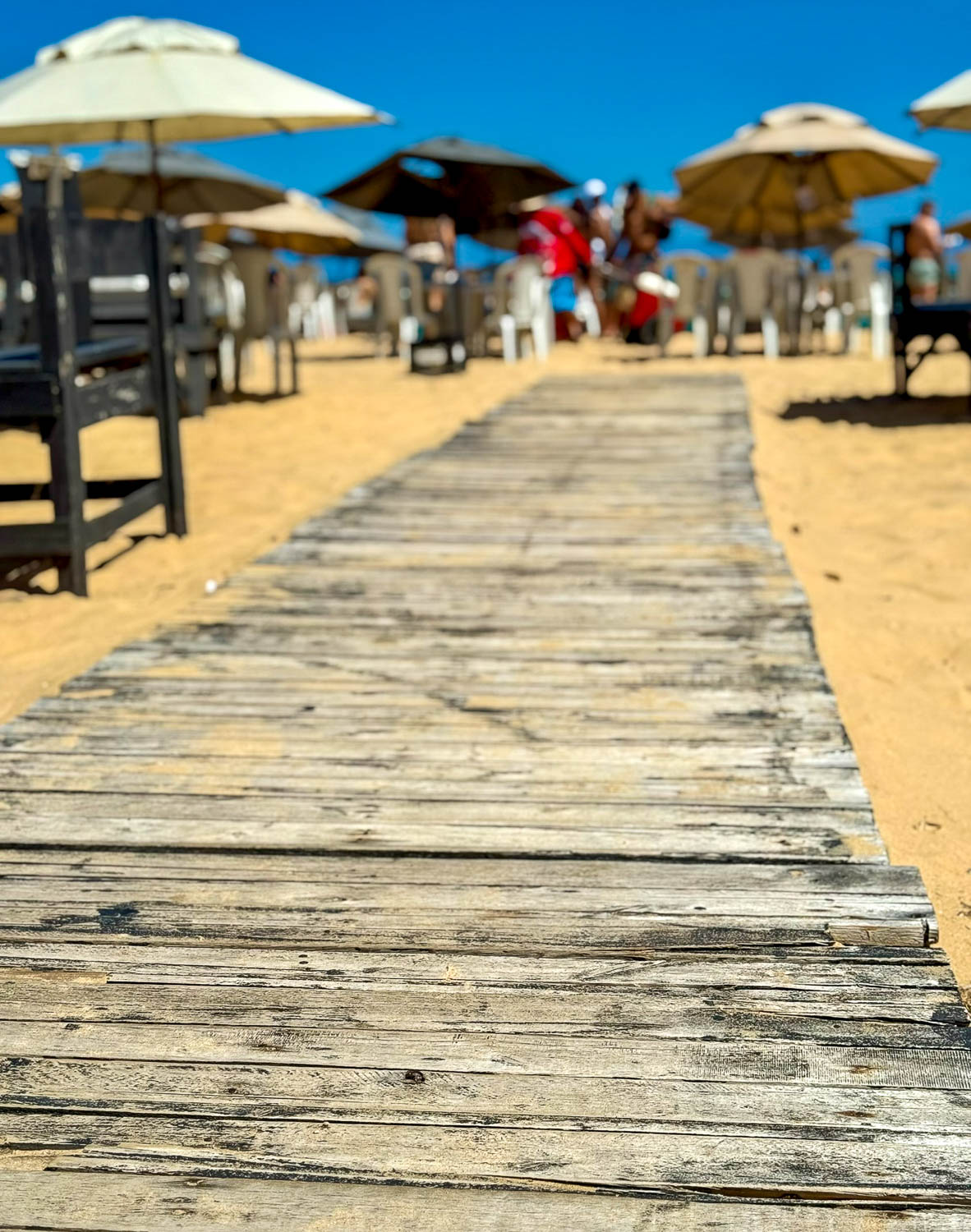 Wooden boardwalk leading toward the sand at Gunga Beach near Maceio Brazil