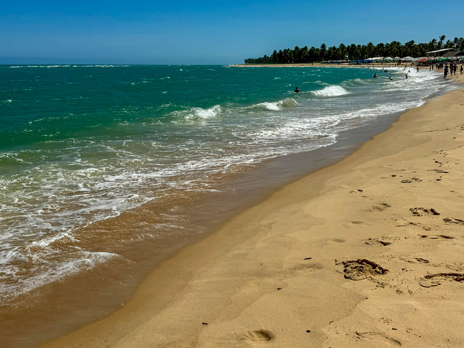 Coastline view of Gunga Beach near Maceio Brazil along the Alagoas coast
