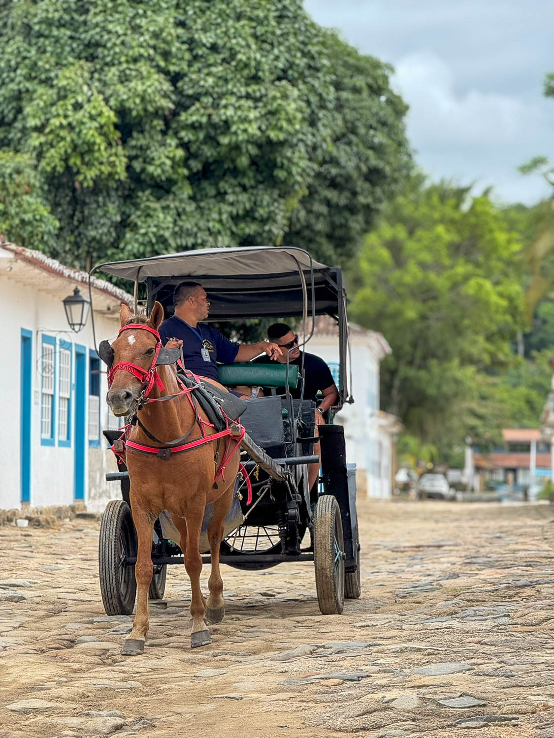 Where you can, try to choose environmentally-conscious tour operators (Paraty, Brazil)”