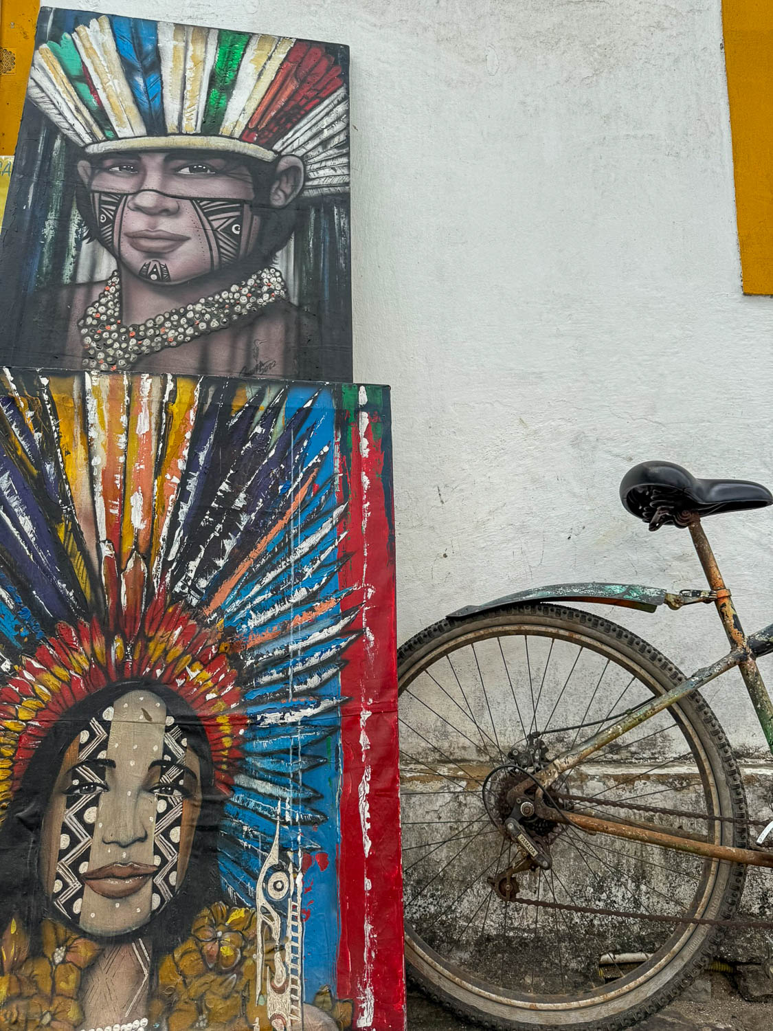 Cultural experience visiting Indigenous communities near Paraty in Brazil