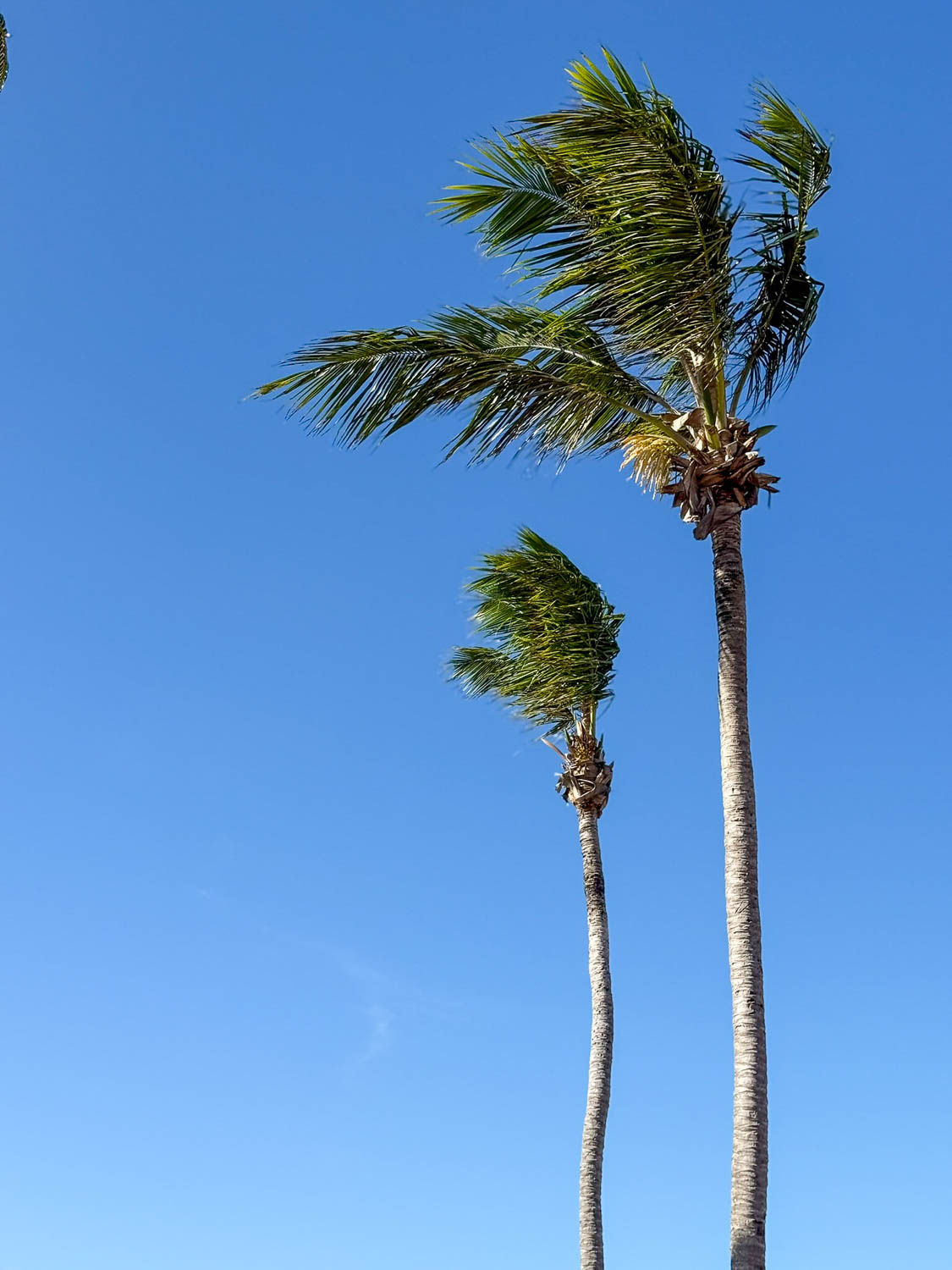 Ocean view from beachfront hotels in Maceio Brazil