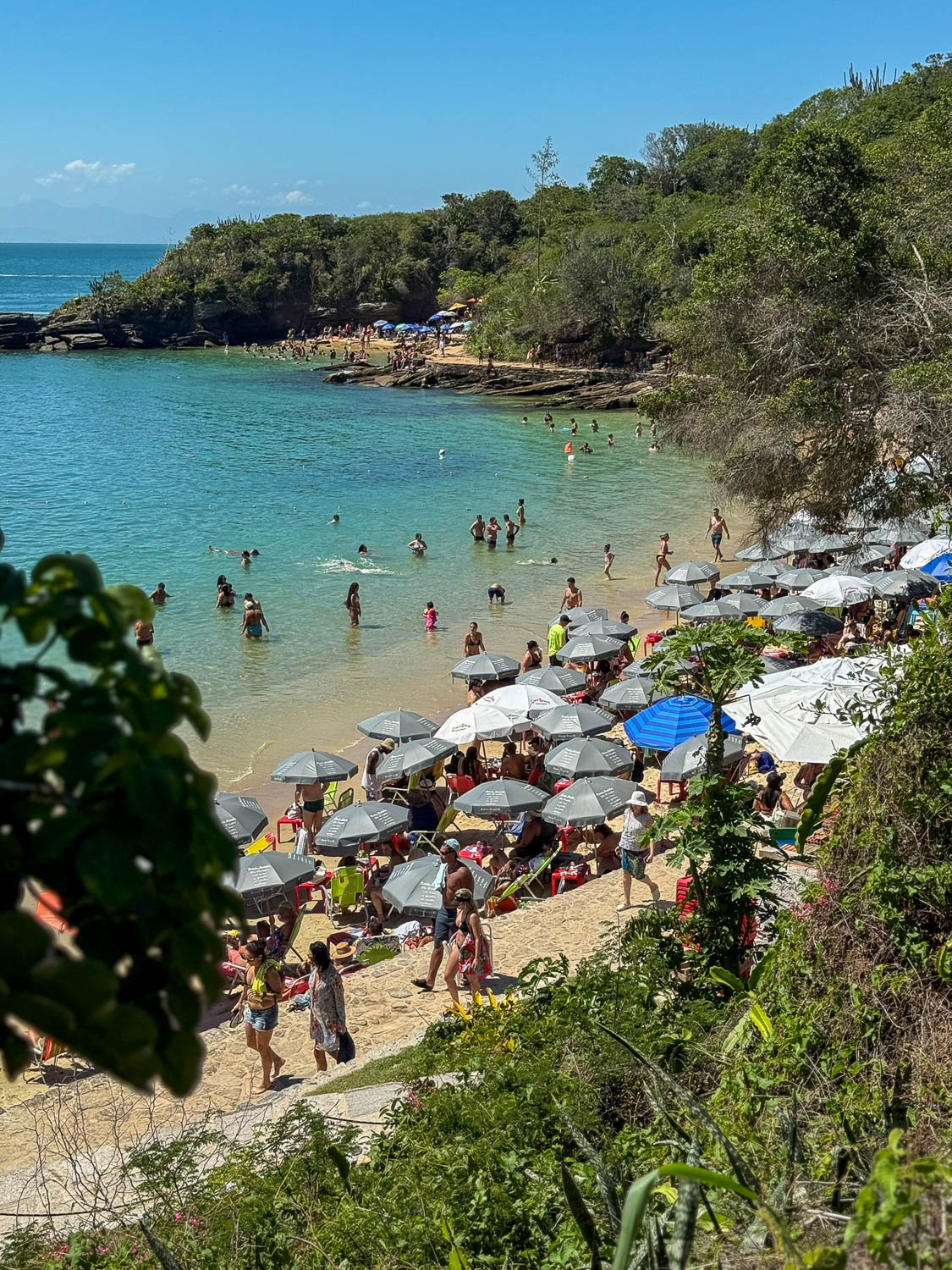 Traditional Brazilian Food: Iconic Dishes, Snacks, and Desserts 23 Grilled queijo coalho cheese on a stick often served on a Brazilian beach