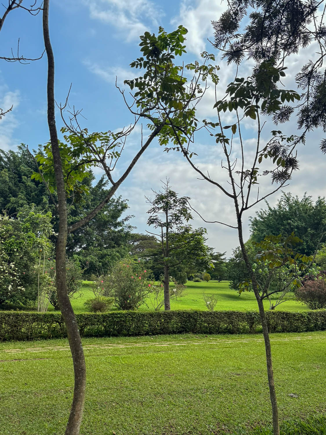 Green park space at Kigali Centenary Park near Kigali Heights for relaxation and recreation