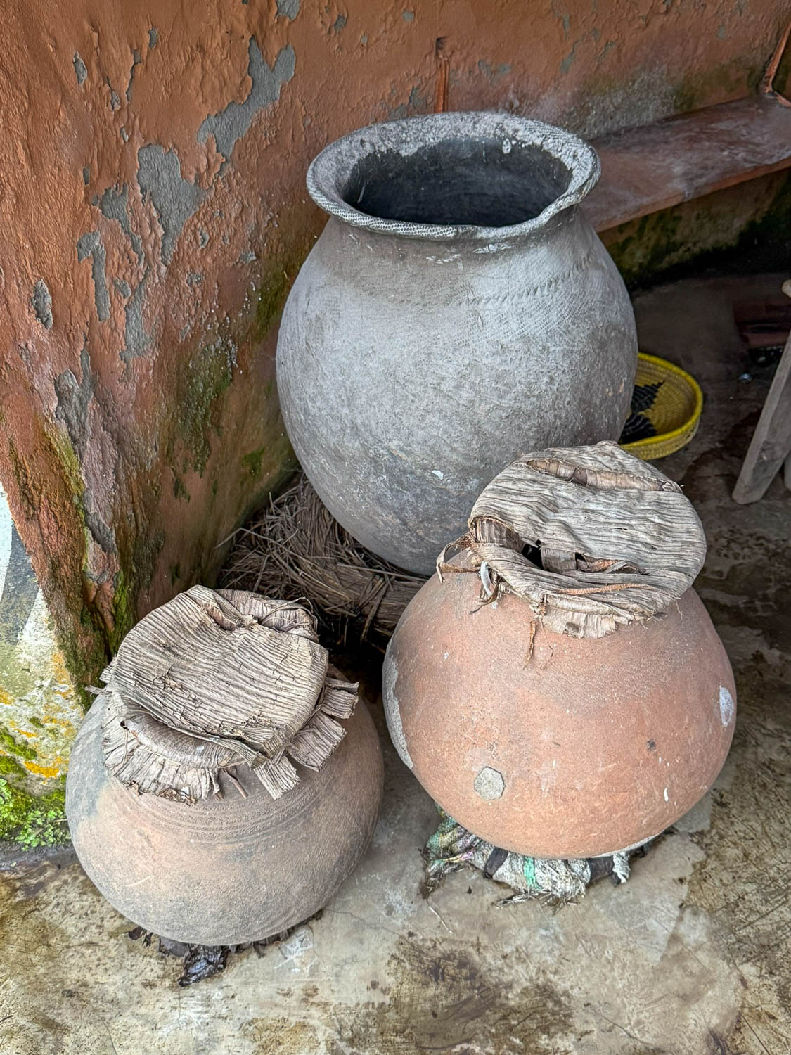 Traditional banana beer fermentation process used to make urwagwa in Rwanda