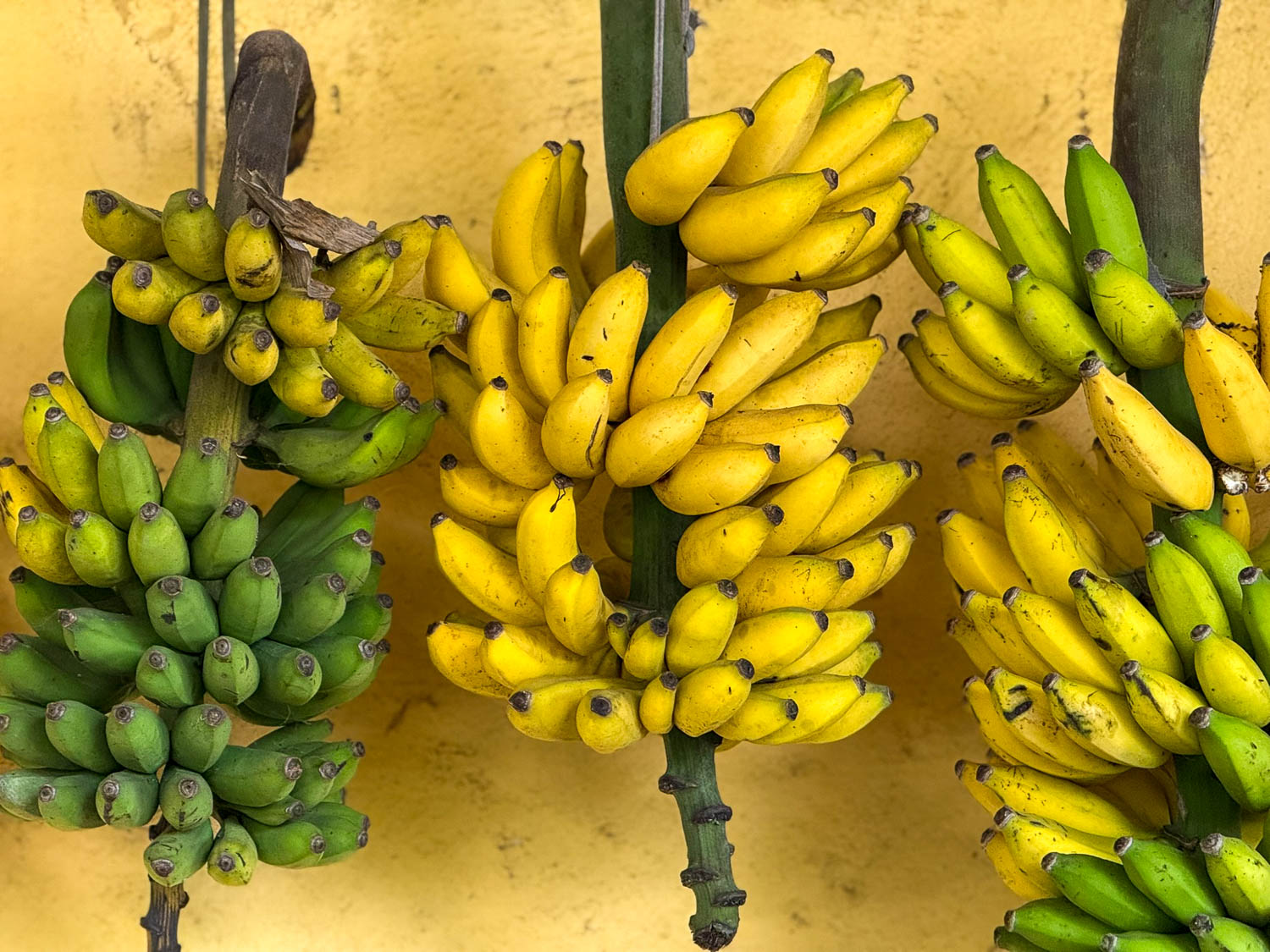Bananas displayed at Kinyanda Market, a key staple ingredient in Rwandan cuisine