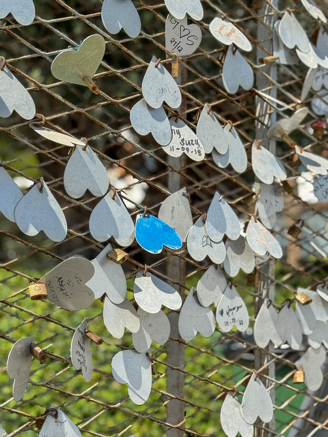 Public art installation displayed along the Doha Corniche waterfront promenade