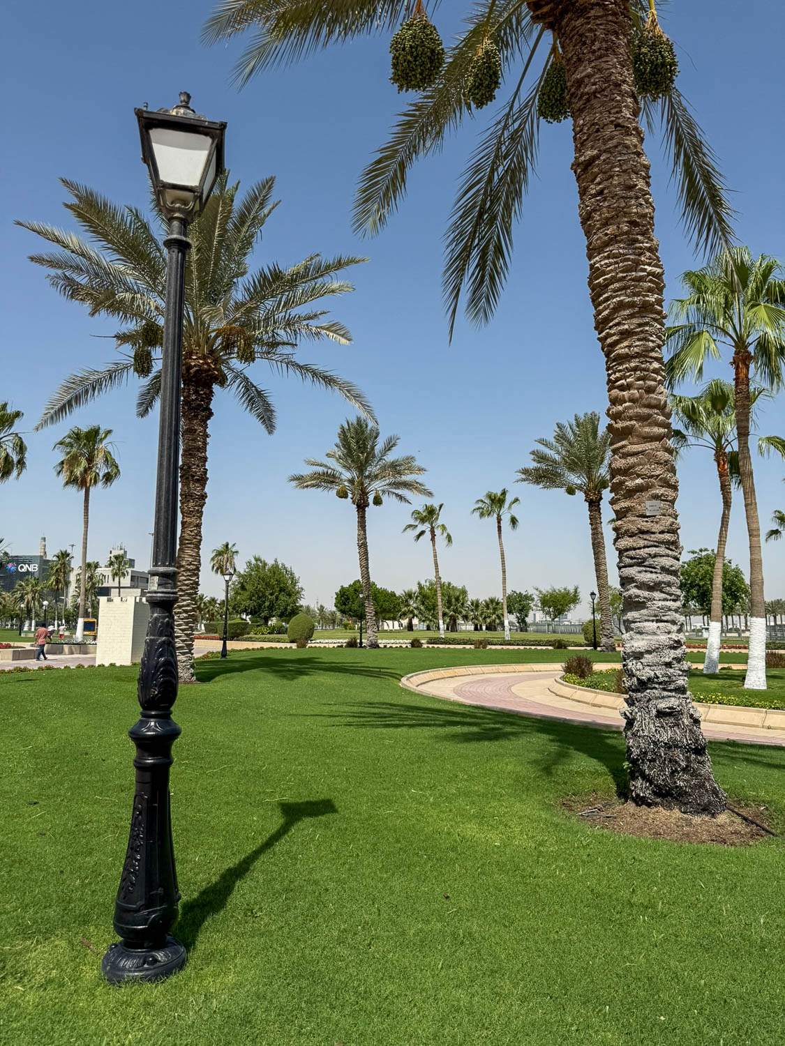 Curving waterfront promenade of the Doha Corniche in Doha Qatar