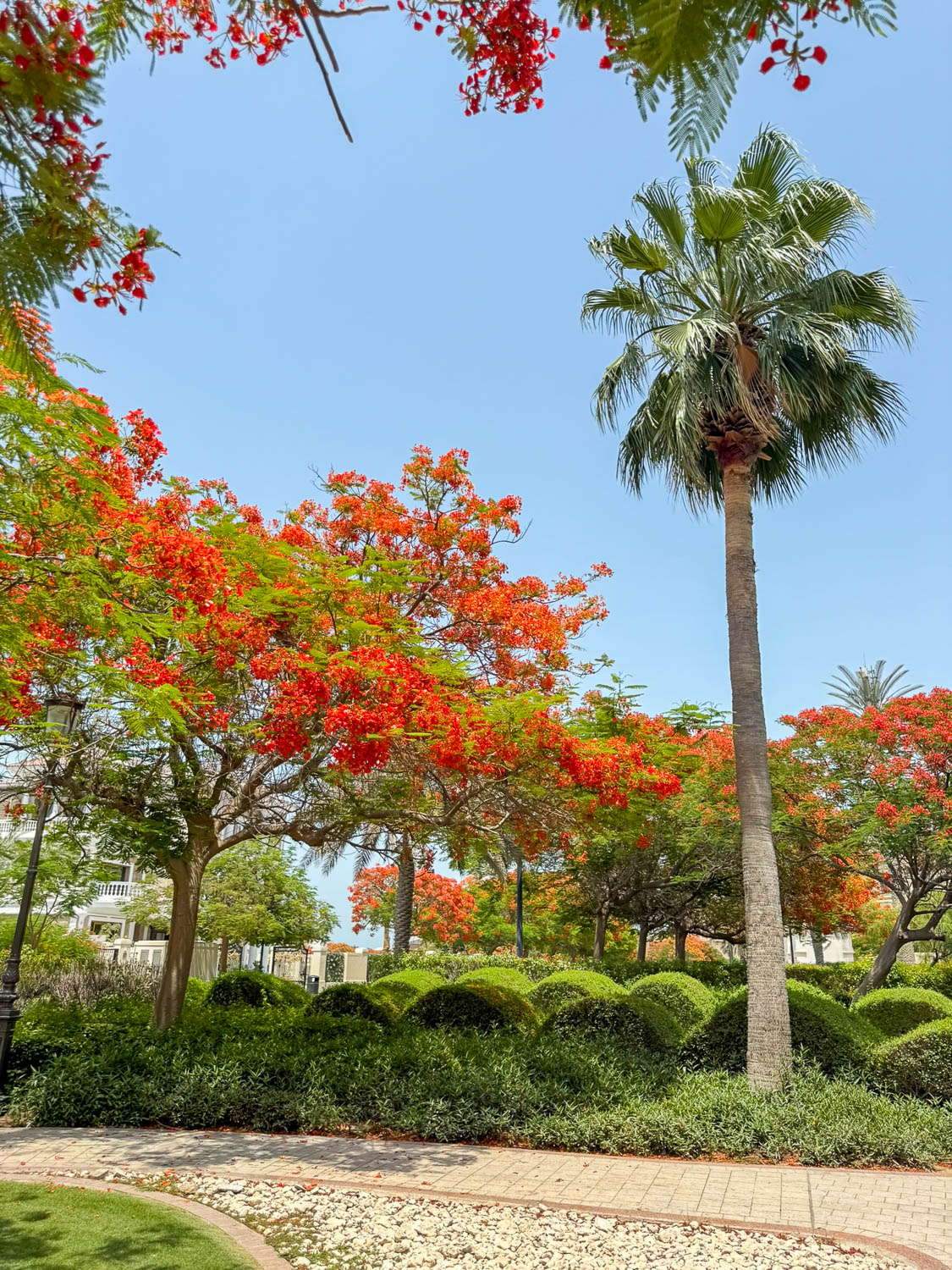 Family picnic and green open space at The Pearl-Qatar family-friendly island in Doha