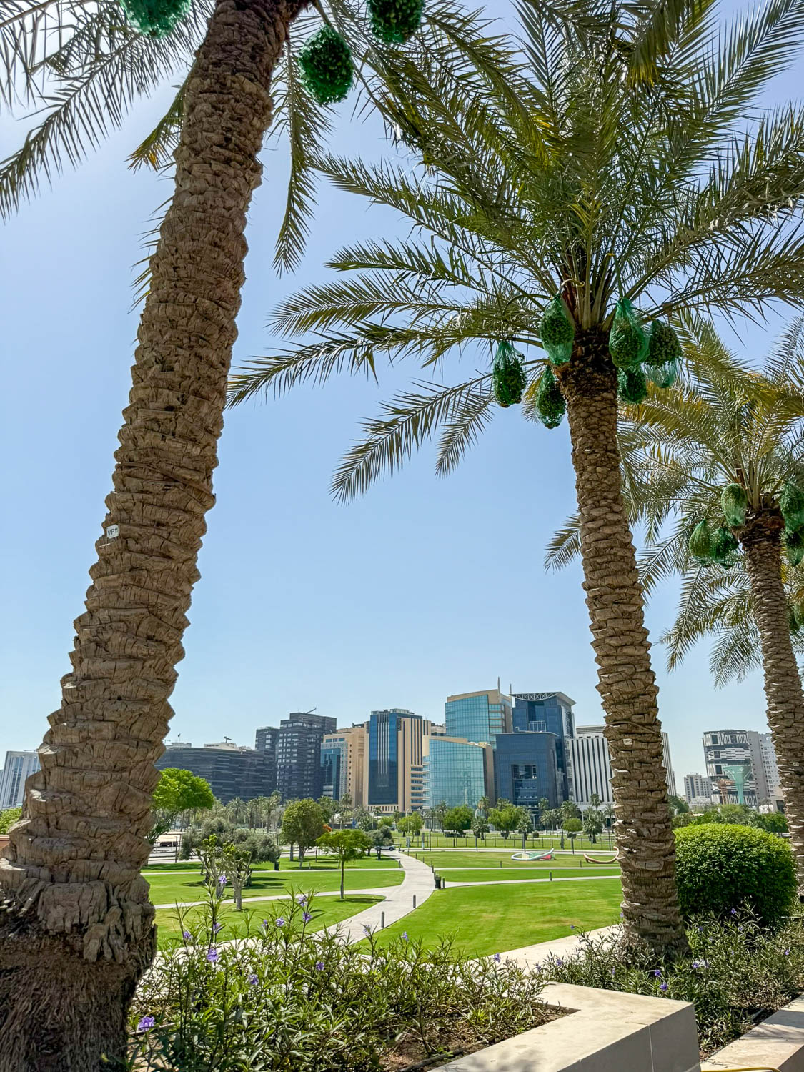 Palm-lined pathways and green space at MIA Park beside the Doha Corniche in Doha Qatar
