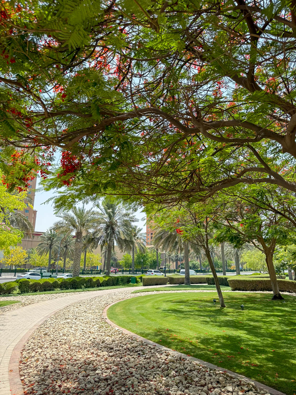 Green park space at The Pearl Qatar in Doha