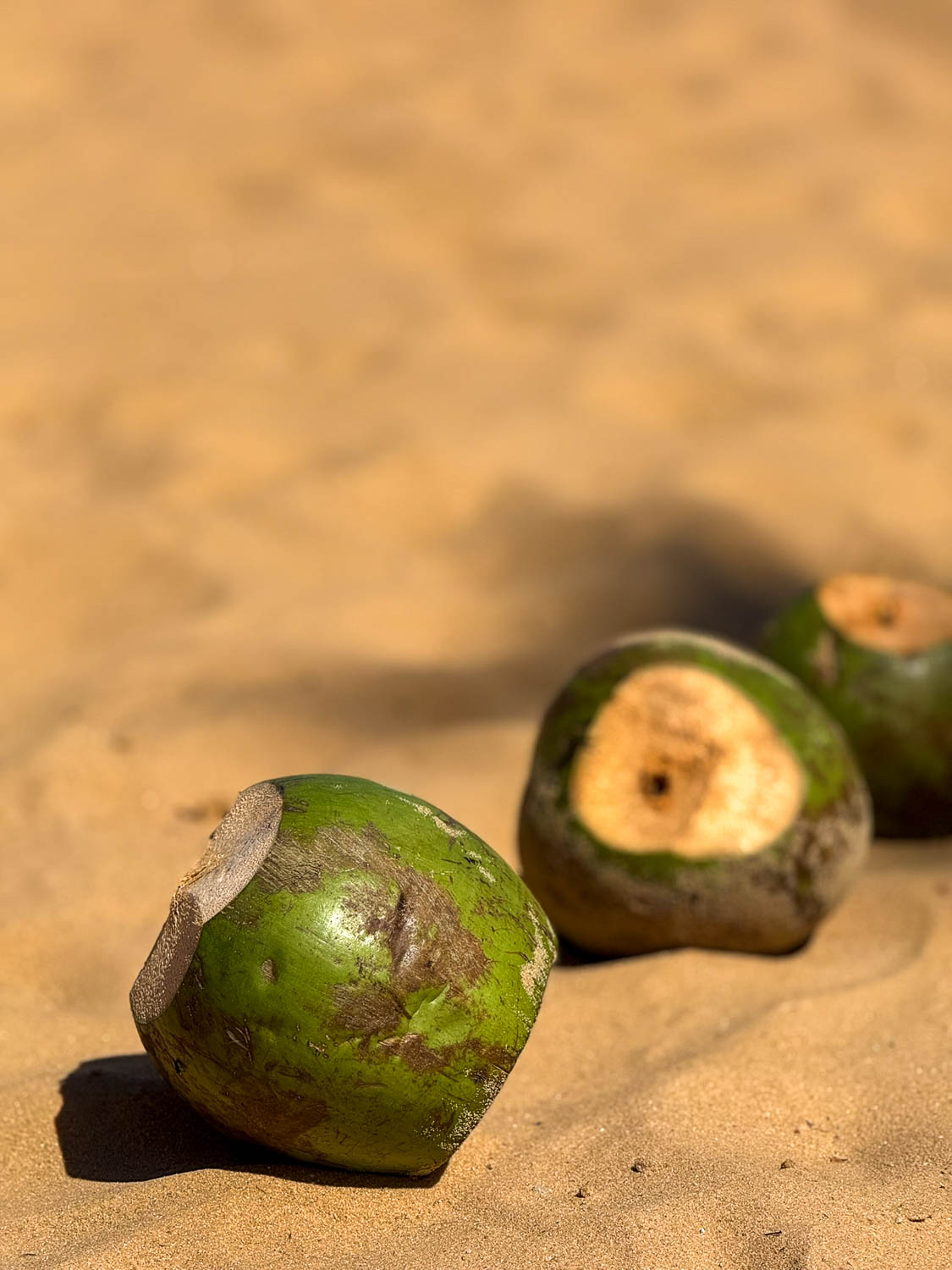 Fresh coconuts at Ipioca on a relaxing Maceio day trip