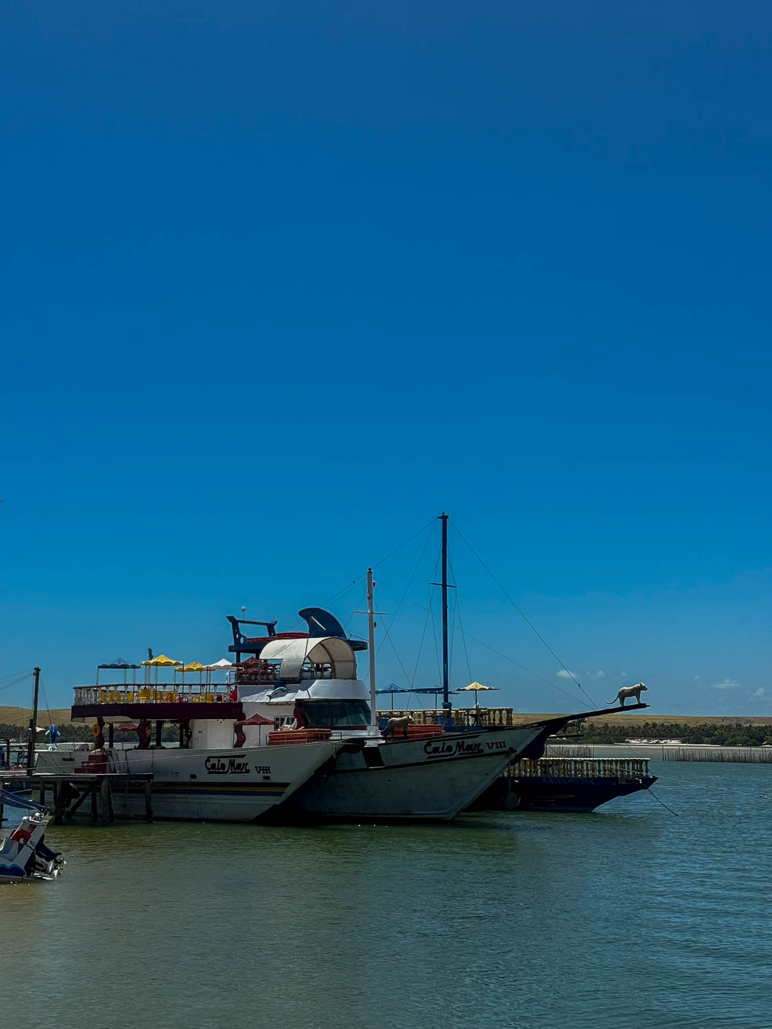 Boat excursion exploring reefs and river deltas on Maceio day trips