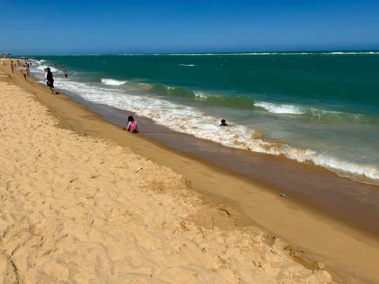 Scenic Alagoas coastline featured on one of the best Maceio day trips
