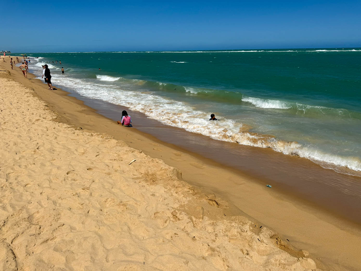 Scenic Alagoas coastline featured on one of the best Maceio day trips