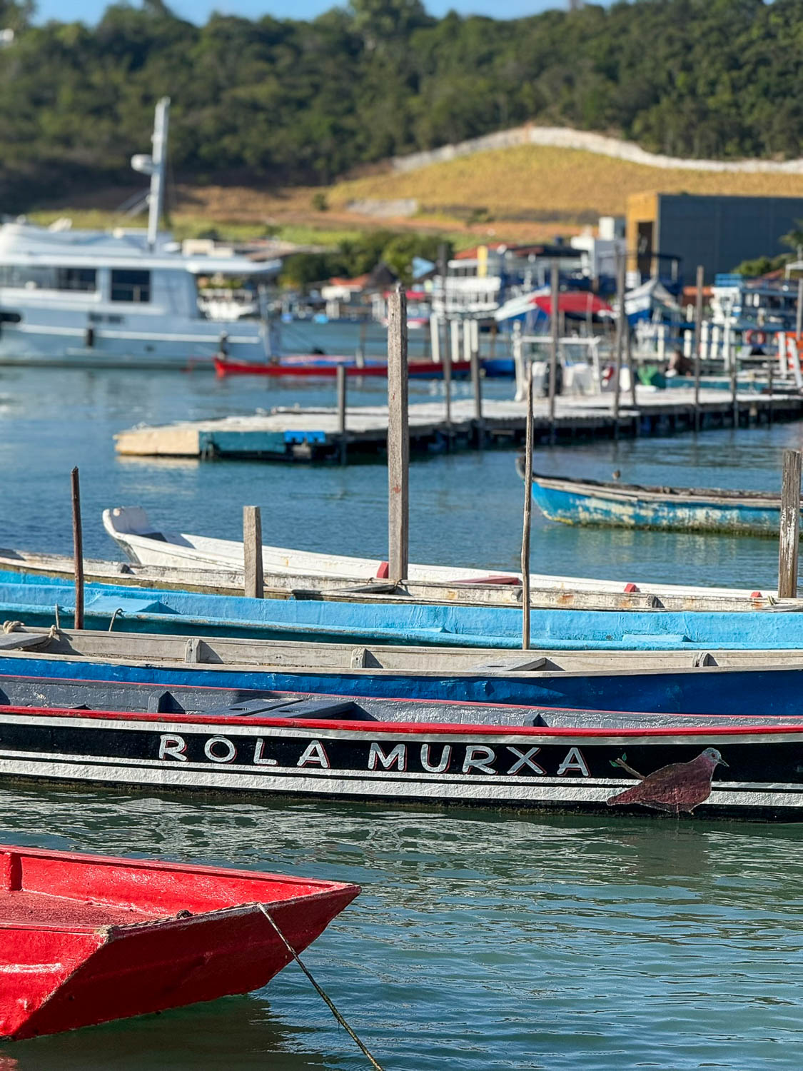Traditional fishing community along the Sao Francisco River near Maceio