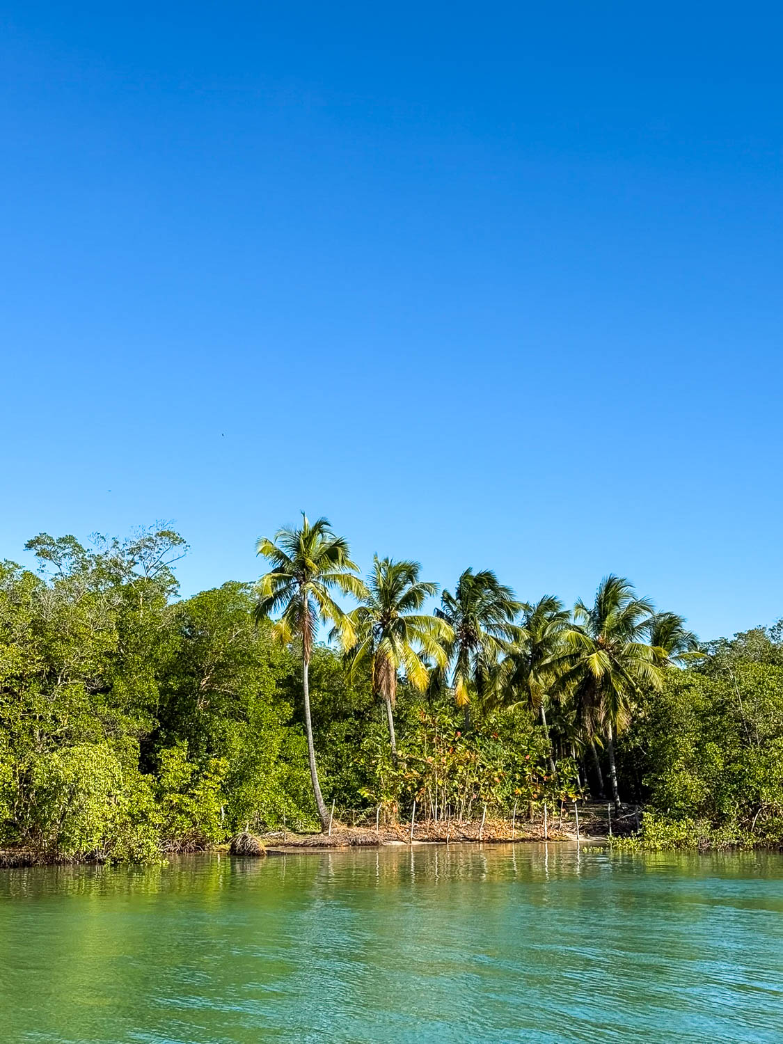 Peaceful scenery at Sao Miguel dos Milagres on a Maceio day trip