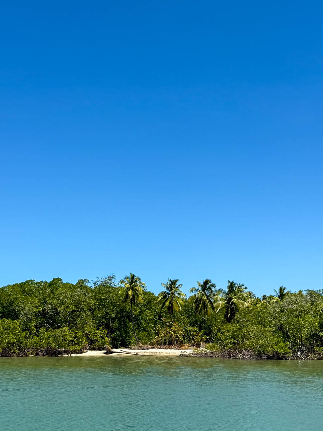 Secluded stretch of coastline beyond the main beaches in Maceio, Brazil
